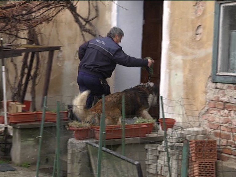 vlcsnap 2015 04 06 13h59m11s37