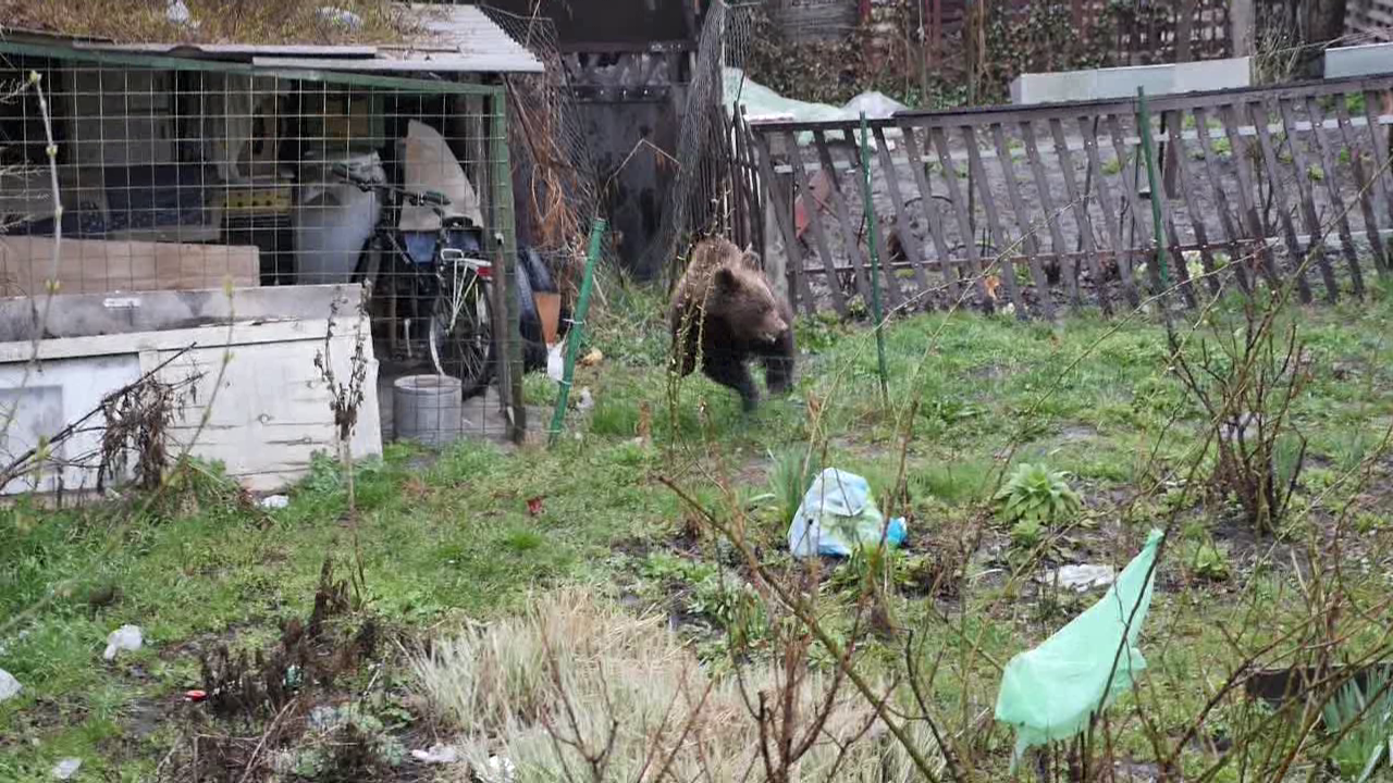 vlcsnap 2015 04 06 14h03m32s79