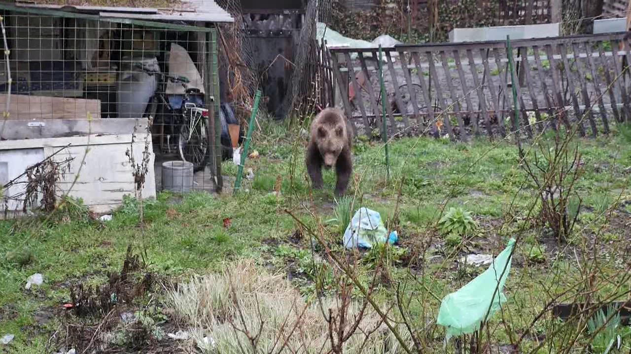 vlcsnap 2015 04 06 14h03m37s137