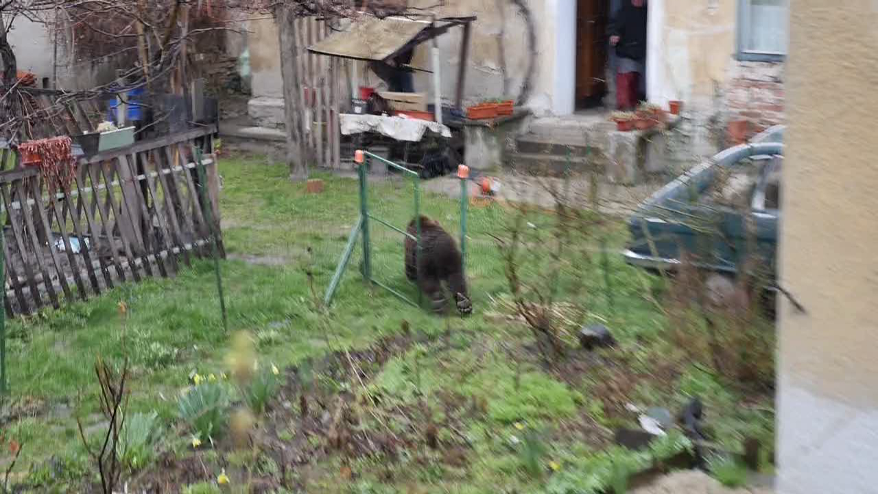 vlcsnap 2015 04 06 14h04m00s103