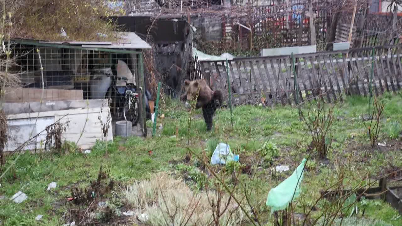 vlcsnap 2015 04 06 14h04m35s199