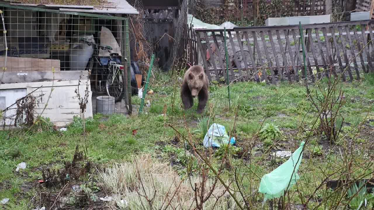 vlcsnap 2015 04 06 14h04m43s23