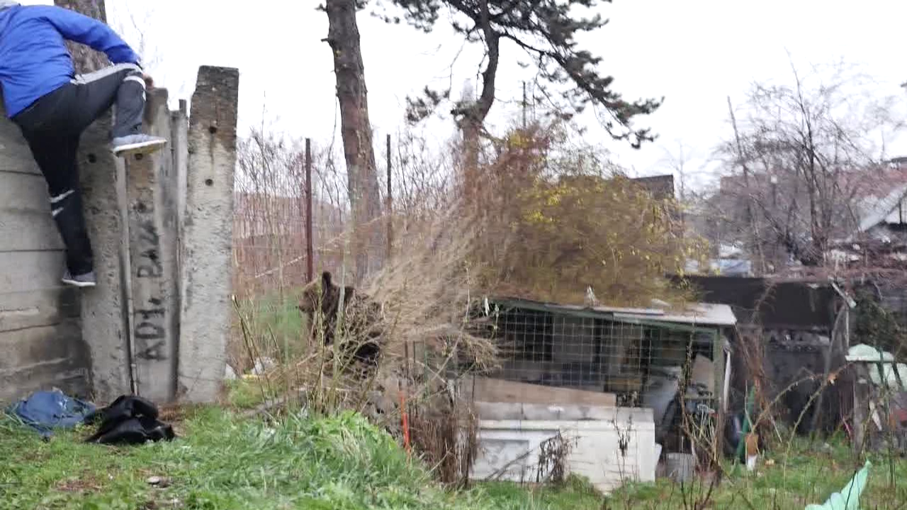 vlcsnap 2015 04 06 14h04m52s112