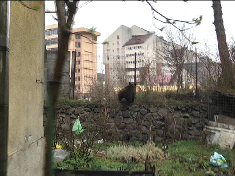 vlcsnap 2015 04 06 14h07m11s225