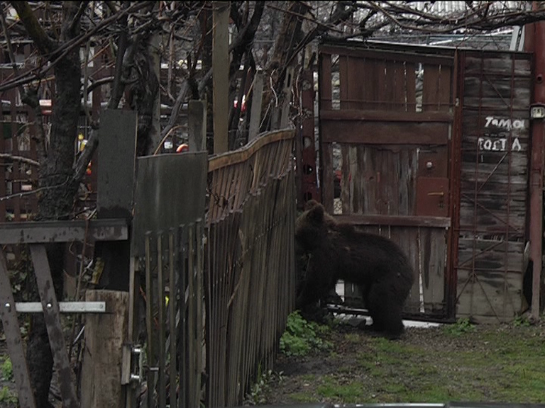 vlcsnap 2015 04 06 14h07m38s240