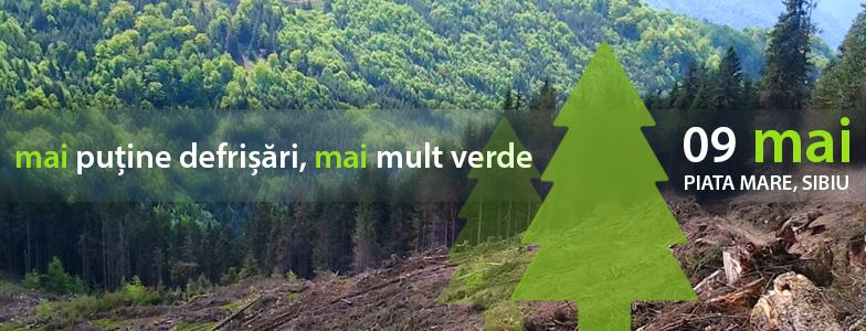 11049446 1010303792315867 7293847056324432669 n