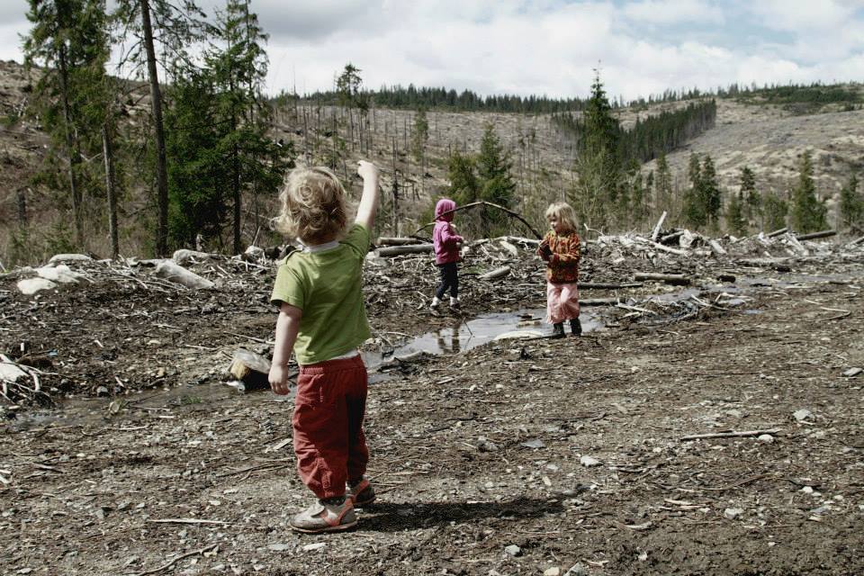 11127638 10204047664942447 6997209110494537252 n