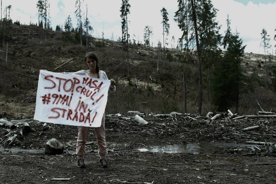 11150694 10204047664462435 6978456678788552936 n