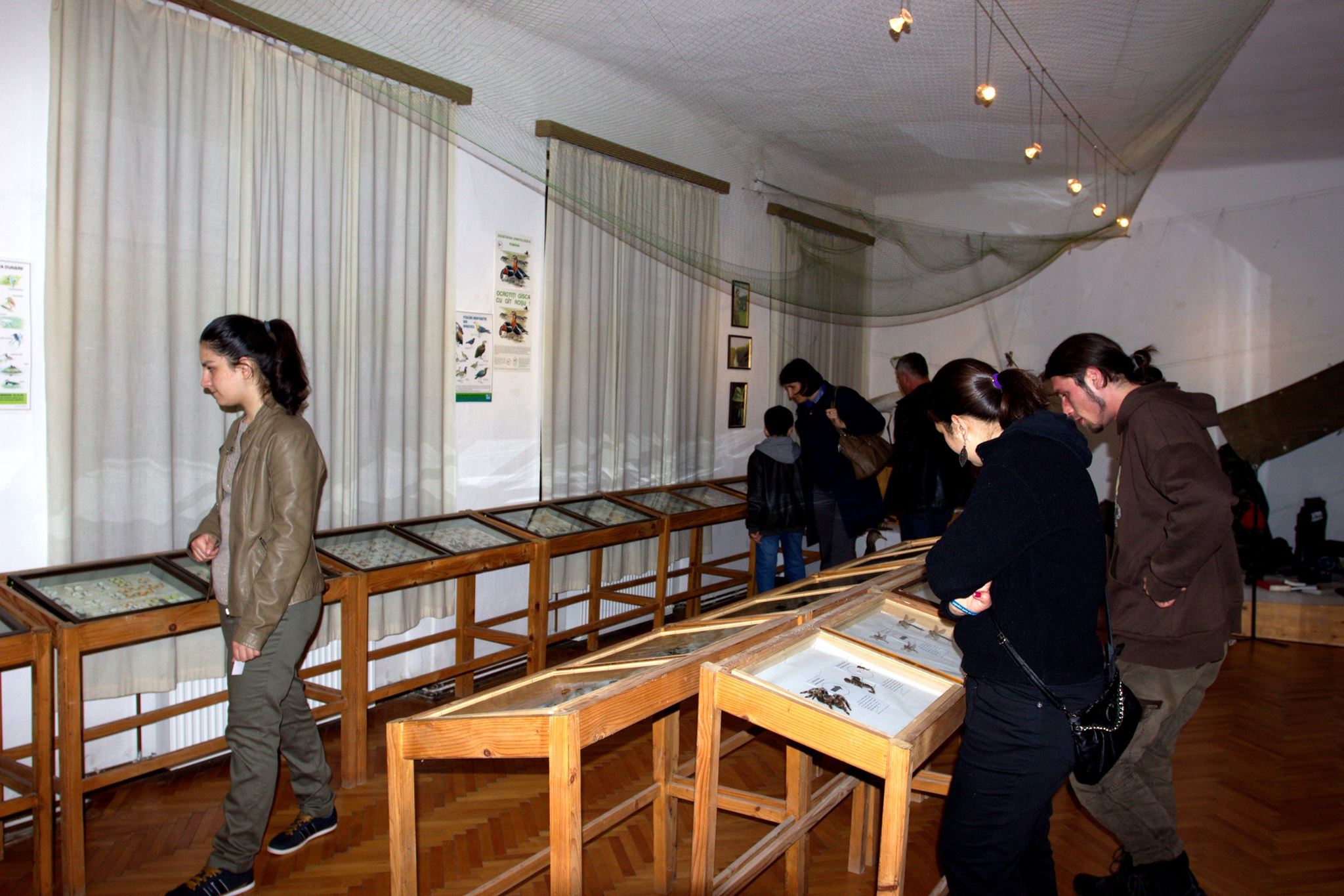 11154641 693776600751536 9014942340397834902 o