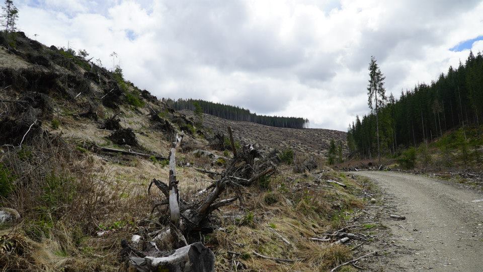 11188269 10204047664182428 3630035415145519656 n