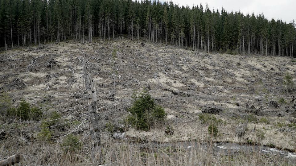 11210448 10204047665062450 8911392272713492970 n