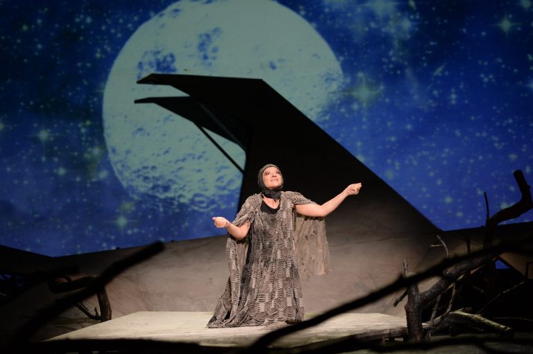 Teatrul Național Radu Stanca – invitat de onoare la zilele „Matei Vișniec”
