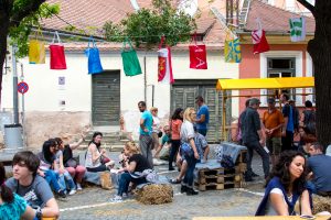 huet.urban sibiu 100 8