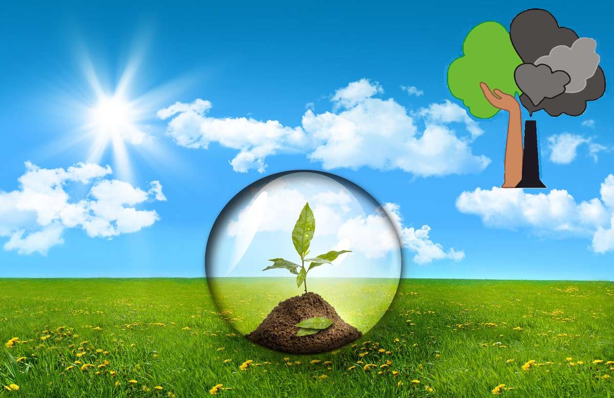 Profesorii și studenții economiști vor avea o „Săptămână Verde”