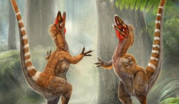 Pe urmele dinozaurilor din România
