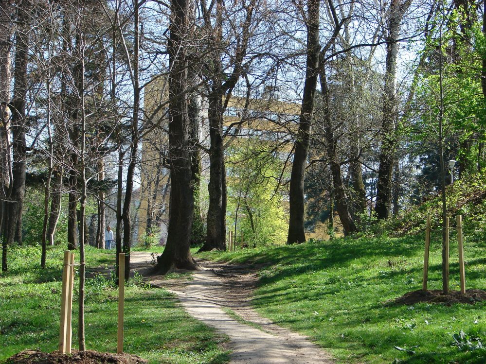 009. Sub arini e1567164921867