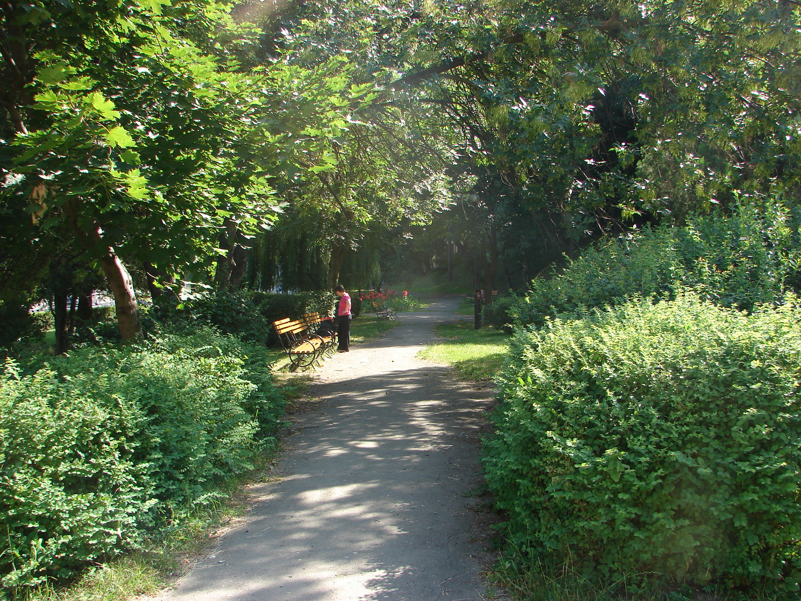 Autoritățile locale au demarat acțiunea de dezinsecție împotriva căpușelor