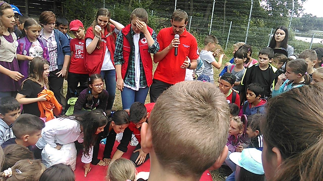 11406576 976084222425804 2142984248978773748 o