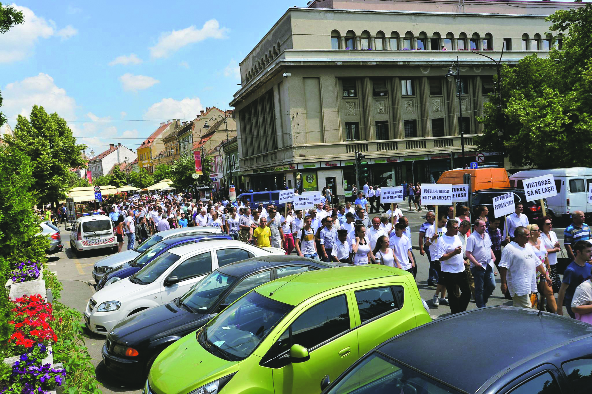 11424539 979442902078688 699405605 o