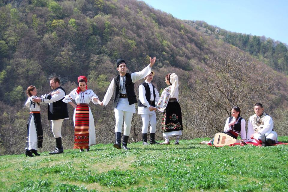 11426692 862198947168308 139562748 n