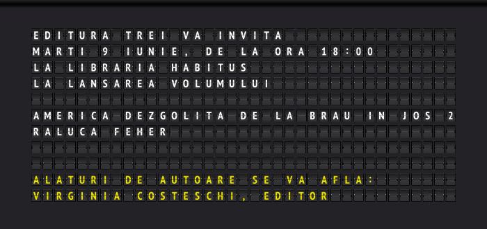 Lansare de carte: America dezgolită de la brâu în jos (2), de Raluca Feher