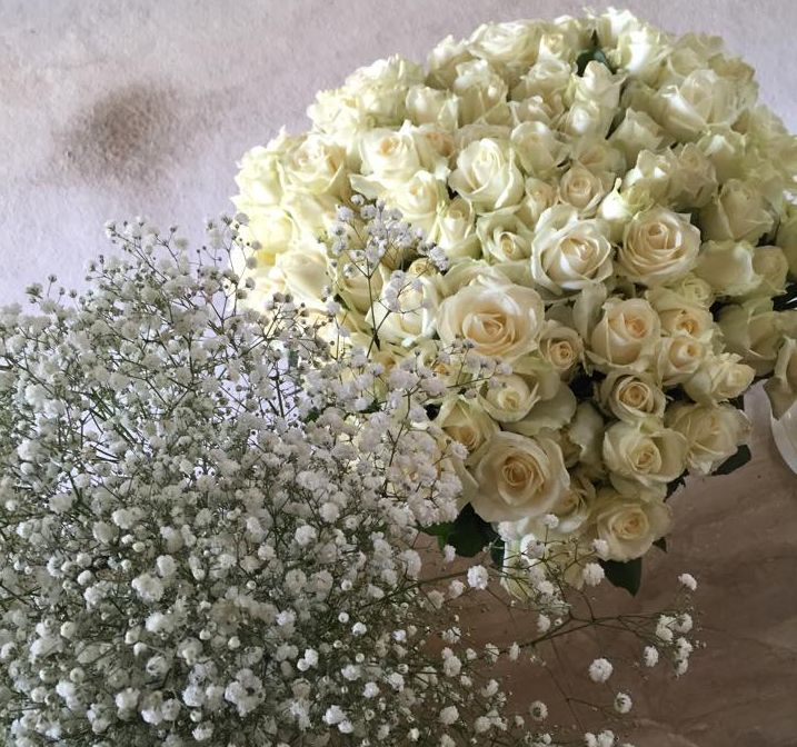 11714264 954313927924567 292124045 n