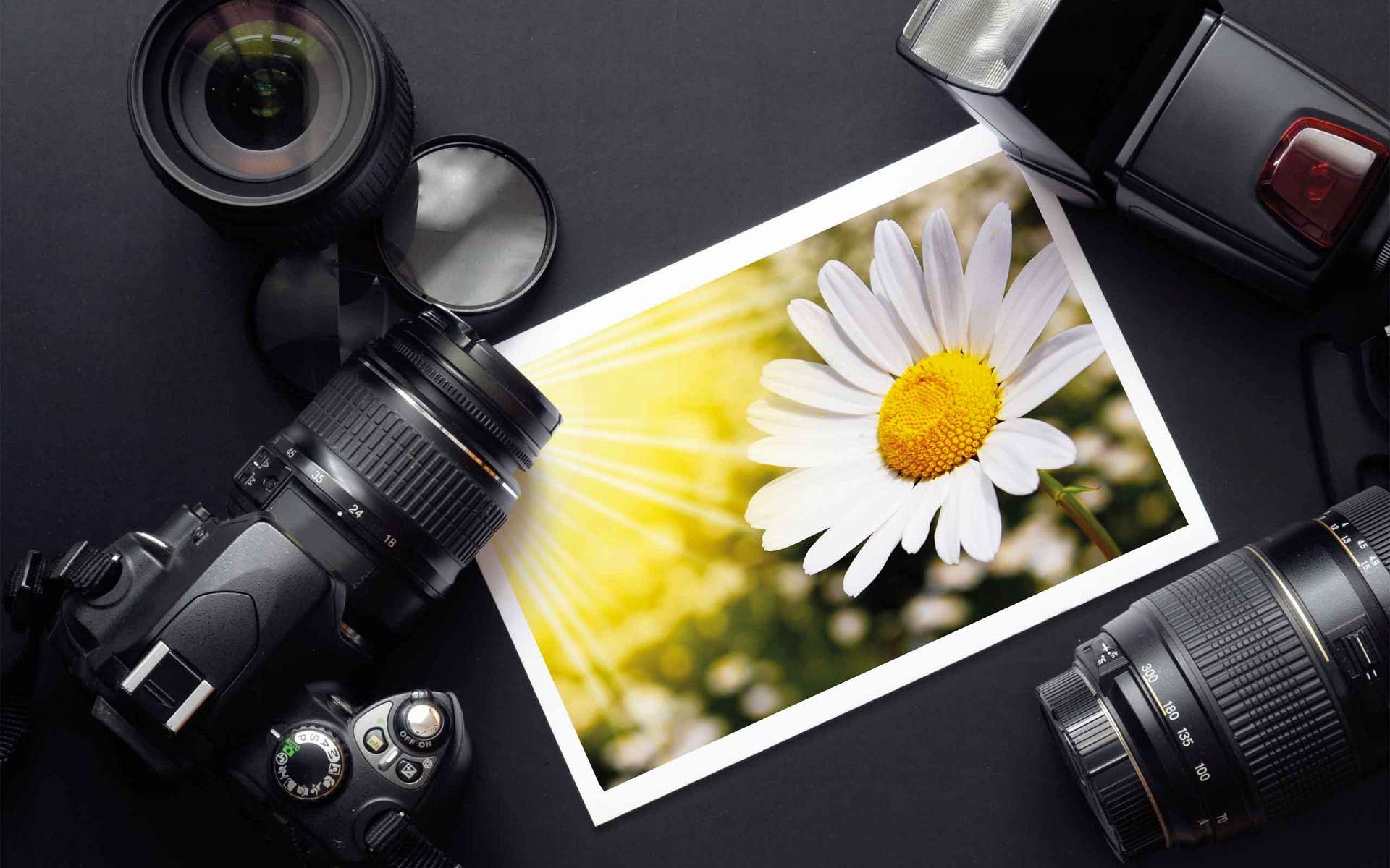 Cursuri gratuite de inițiere în arta povestirii și a fotografiei digitale. Au început înscrierile!