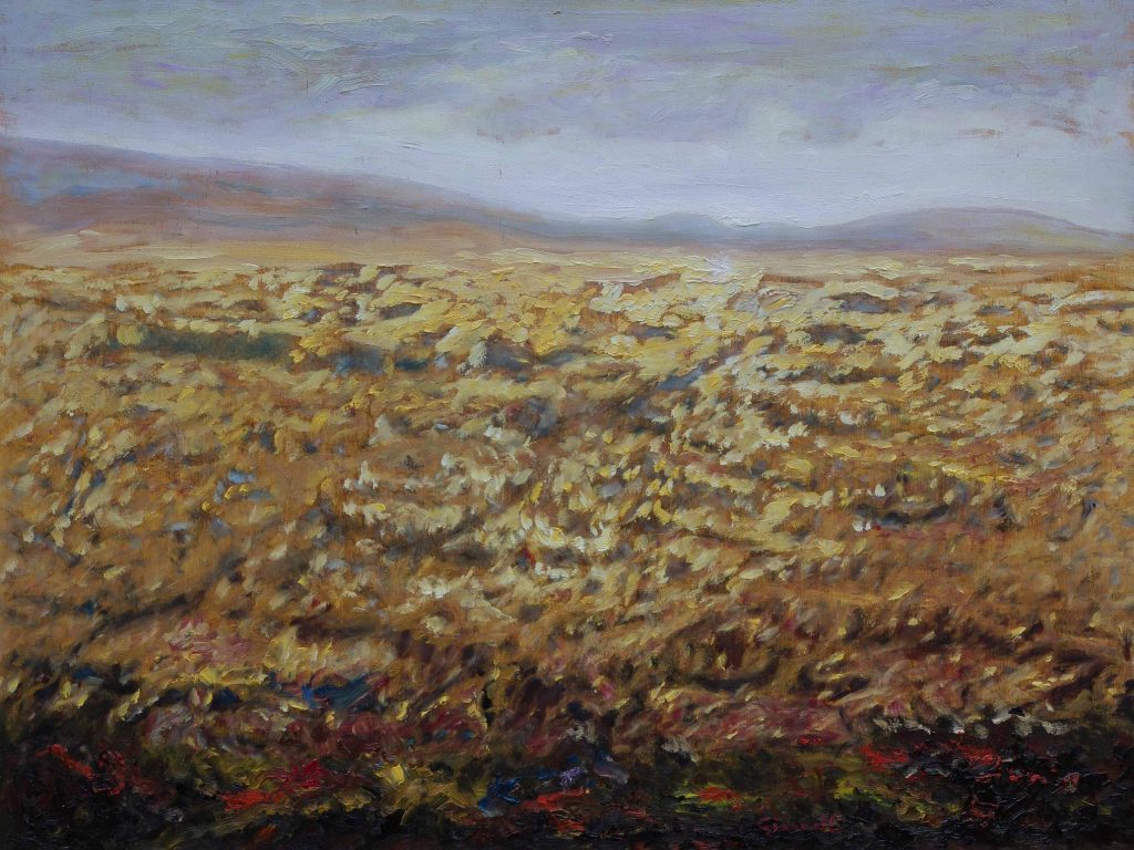 Franco Giannelli redim3