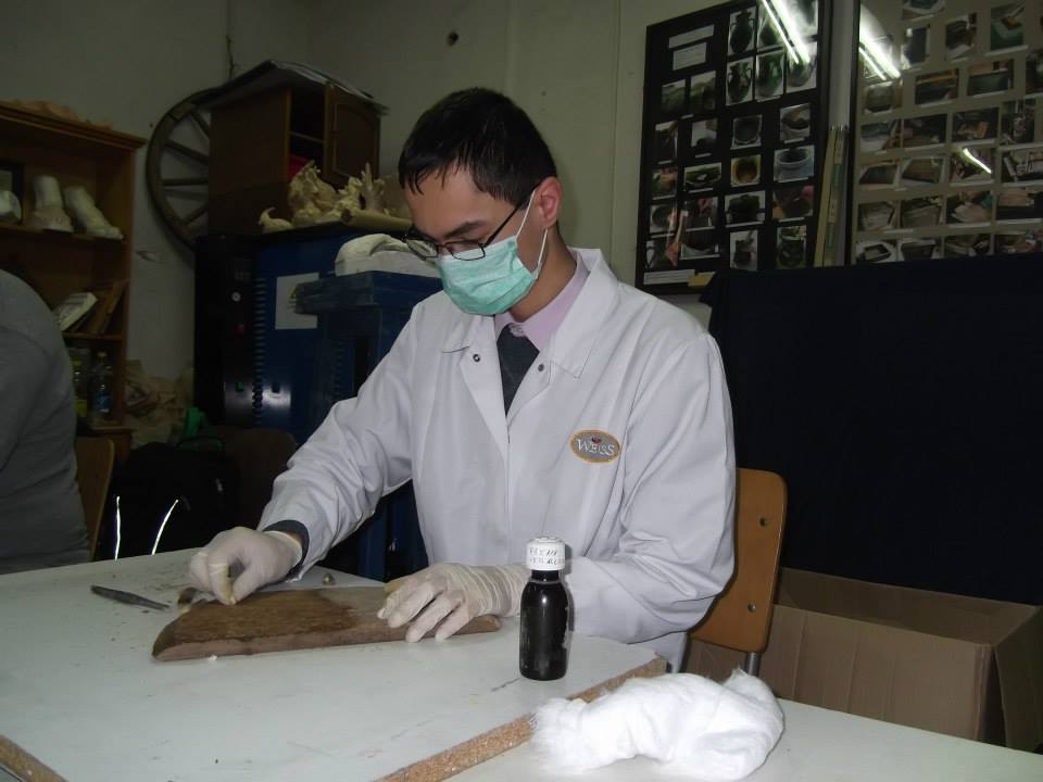 11231851 381460538718931 7330773993335775236 n