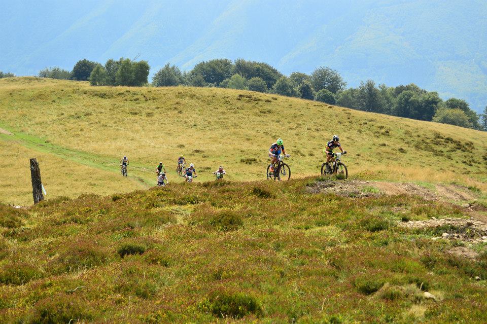 11873530 1033819749970443 7877307445887361874 n