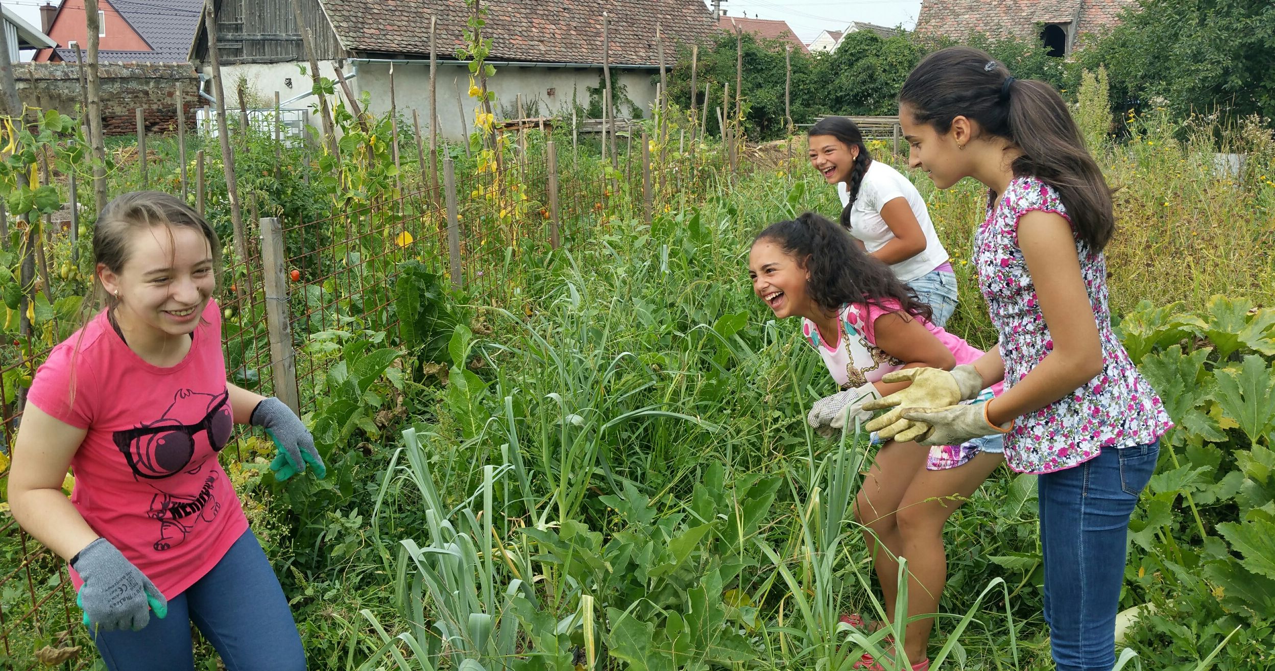 Proiectul „Natura ne învaţă” a adus seminarii de biomimetică si permacultură la Sibiu