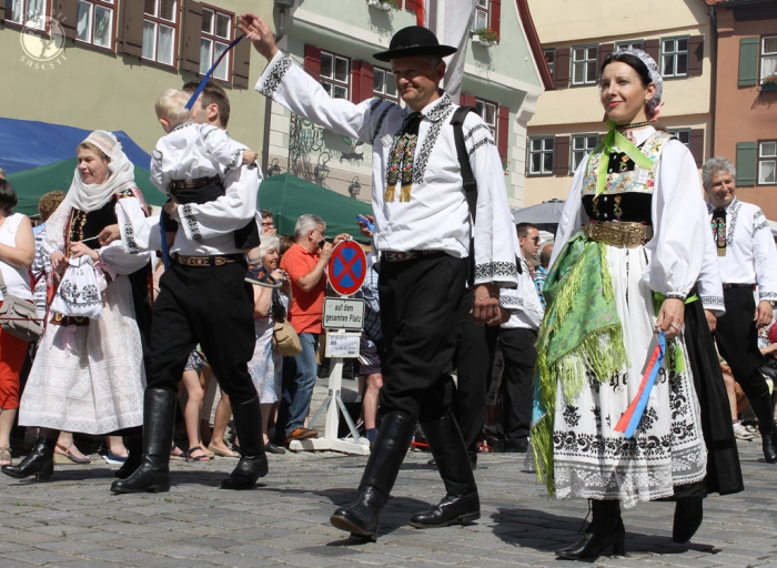 intalnirea anuala a sasilor medias