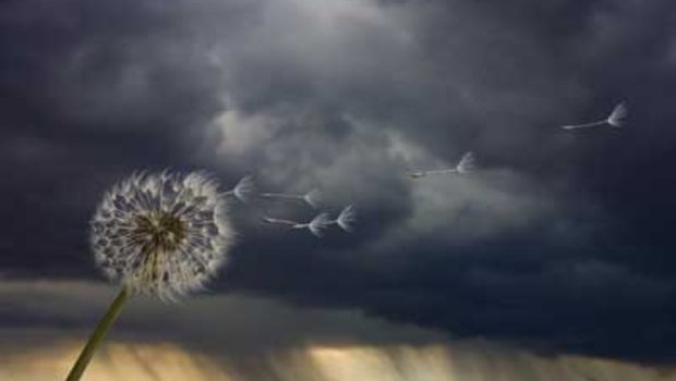 Atentie COD GALBEN de ploi torentiale grindina si vant pentru 15 judete din tara 