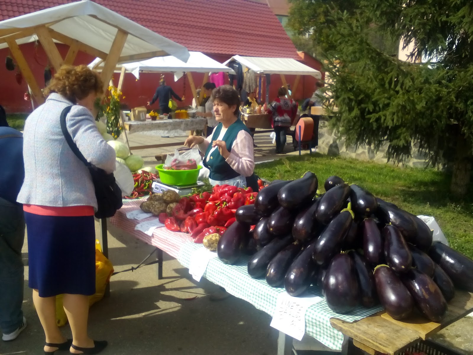 FOTO: Ziua Recoltei, marcată duminică la Dârlos
