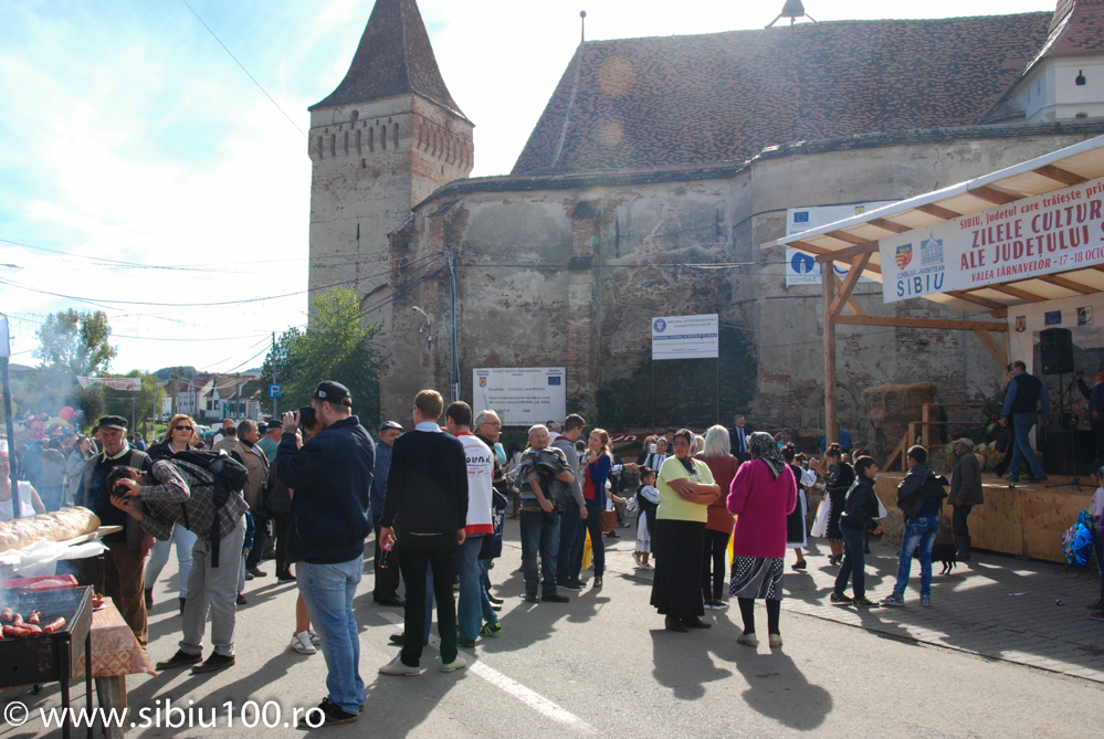 Festivalul Verzei Mo na 2015 12