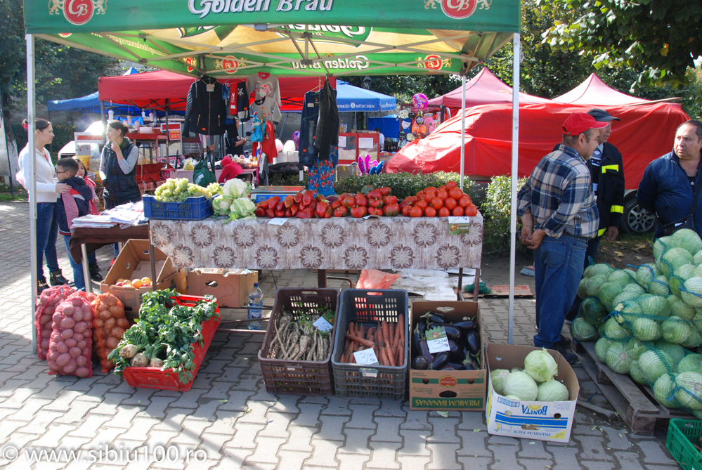 Festivalul Verzei Mo na 2015 14