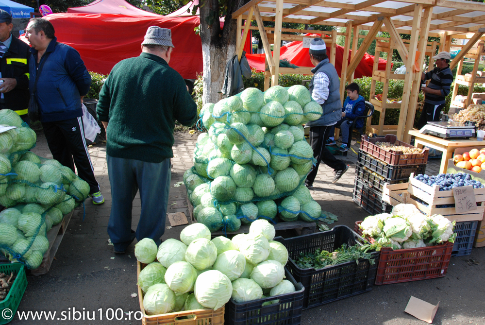 Festivalul Verzei Mo na 2015 15