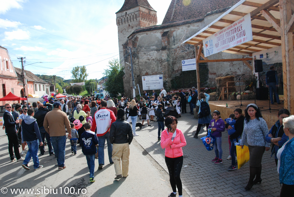 Festivalul Verzei Mo na 2015 18