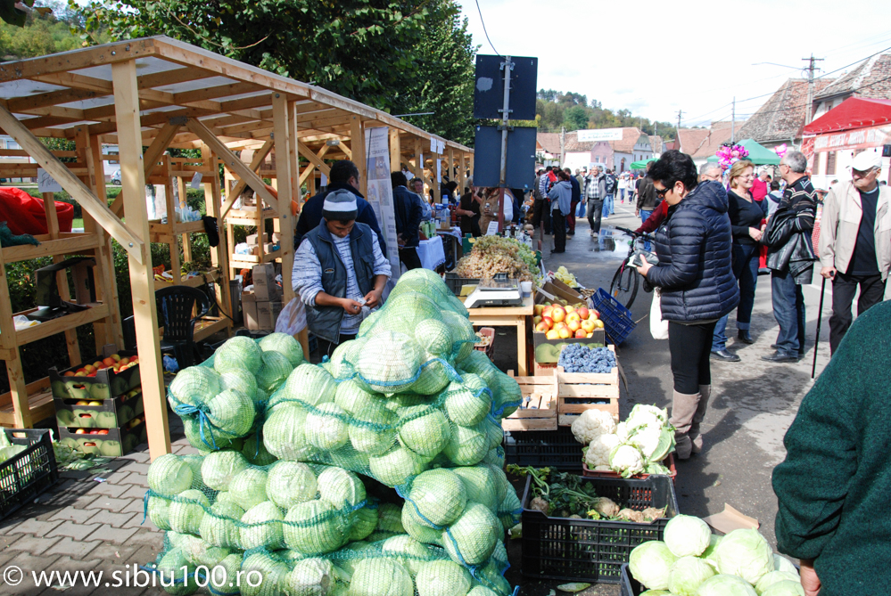 Festivalul Verzei Mo na 2015 21
