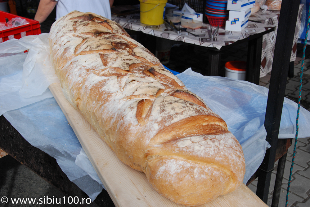 Festivalul Verzei Mo na 2015 31