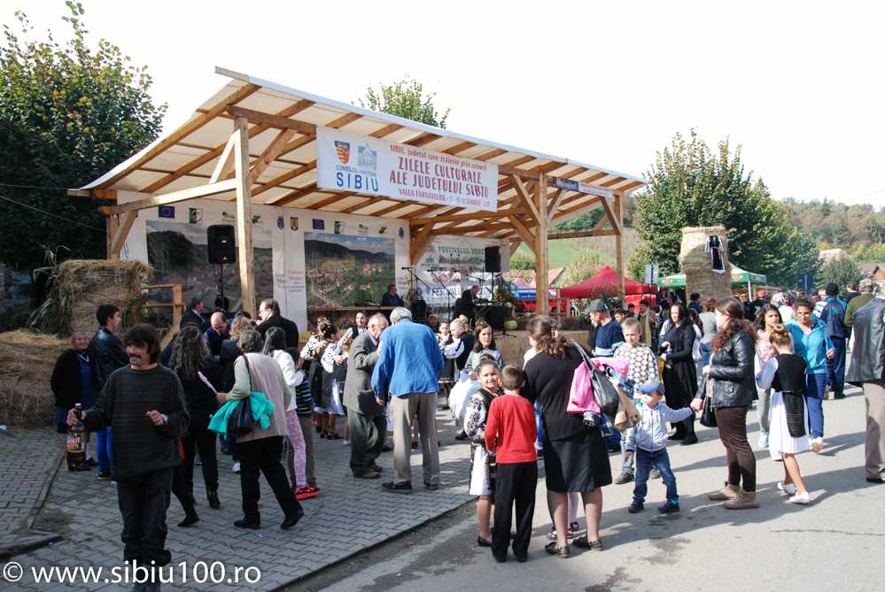 Festivalul Verzei Mo na 2015 5