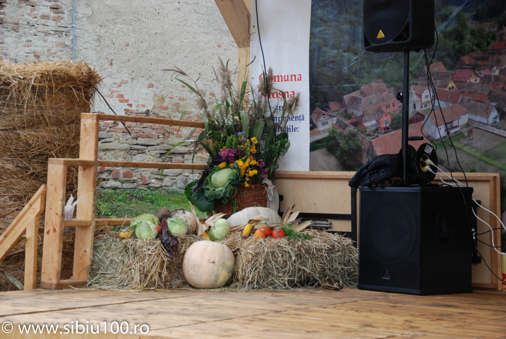 Festivalul Verzei Mo na 2015 76