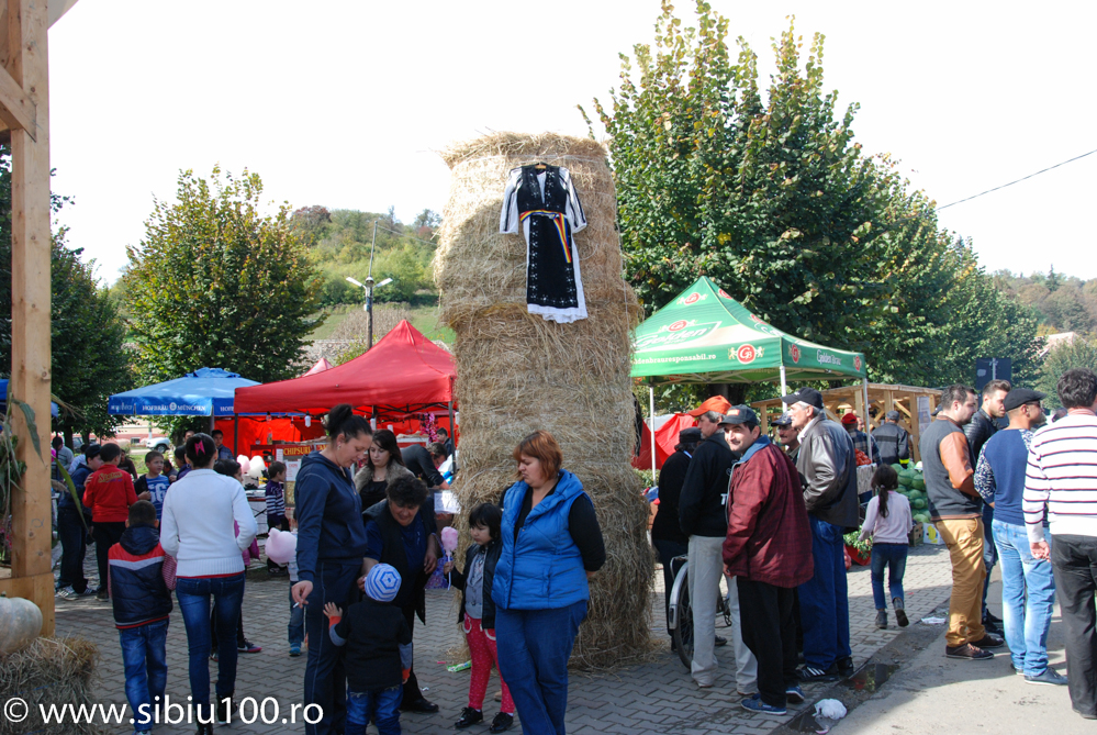 Festivalul Verzei Mo na 2015 8