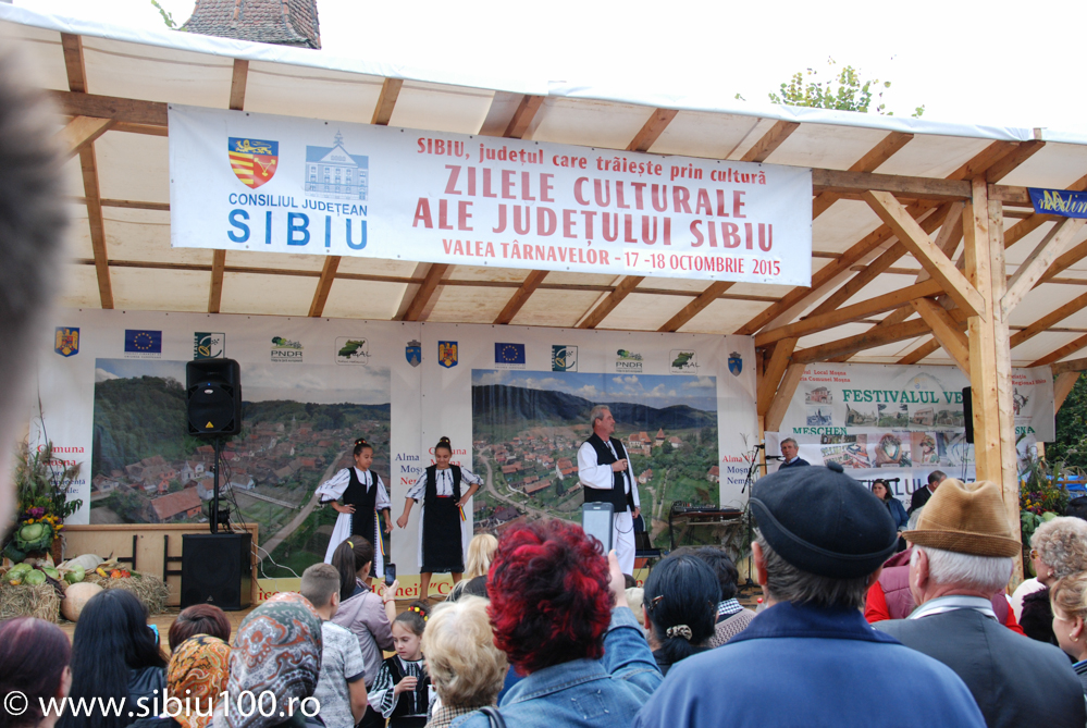 Festivalul Verzei Mo na 2015 83
