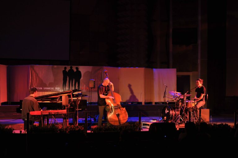 Sibiu Jazz Festival: cel mai bun proiect muzical finanțat de A.F.C.N. în anul 2016