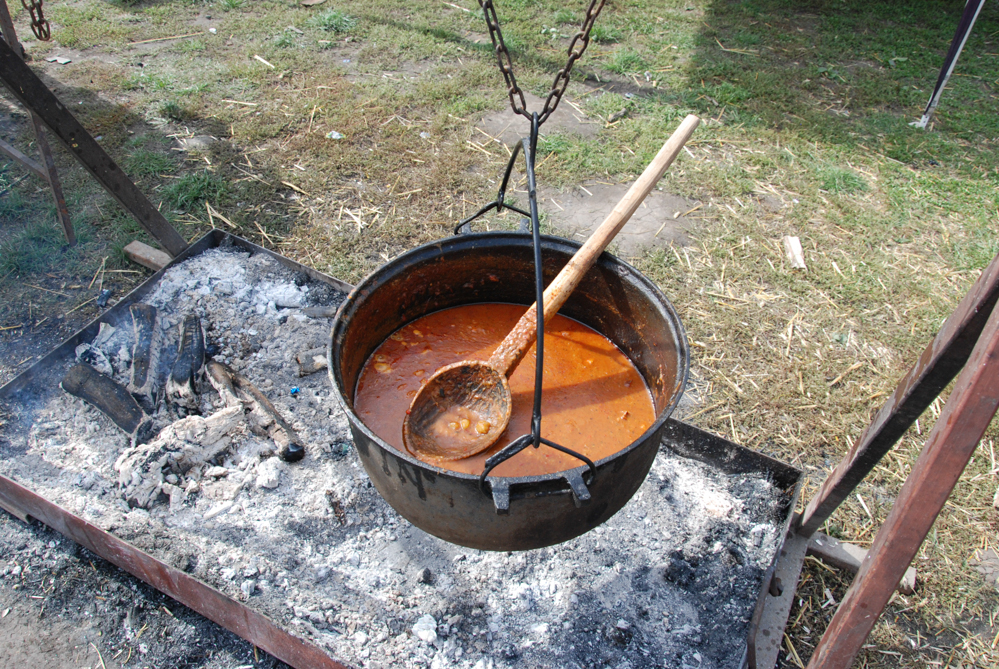 Ziua Recoltei T rnava 2015 16