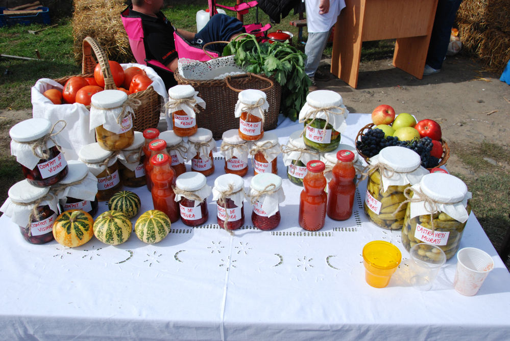 Ziua Recoltei T rnava 2015 19