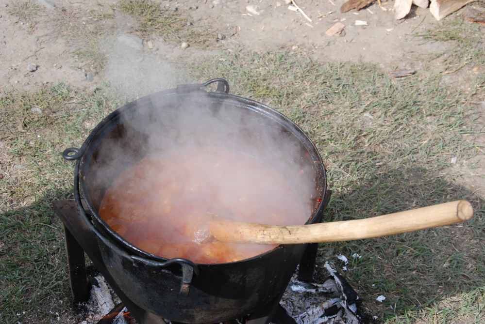 Ziua Recoltei T rnava 2015 21