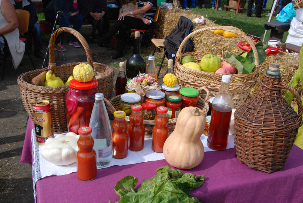 Ziua Recoltei T rnava 2015 22