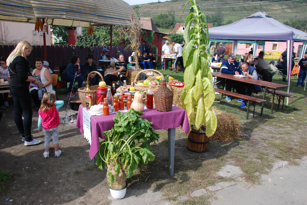 Ziua Recoltei T rnava 2015 23